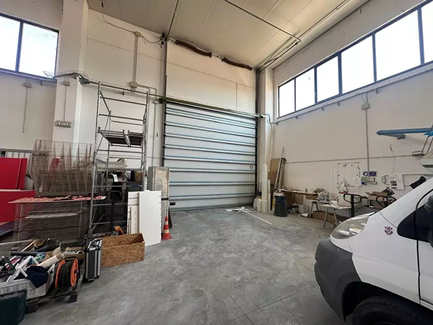 Immagine 3 di Attività artigianale in vendita  a Campiglia Marittima