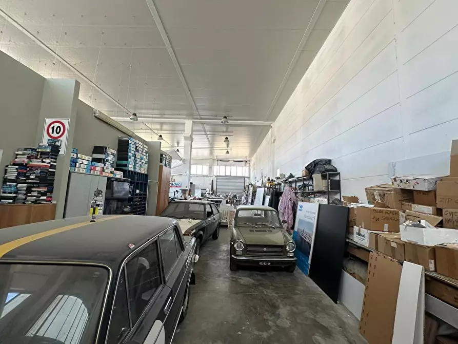 Immagine 8 di Attività artigianale in vendita  a Campiglia Marittima