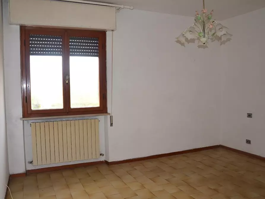 Immagine 12 di Casa bifamiliare in vendita  a Vecchiano