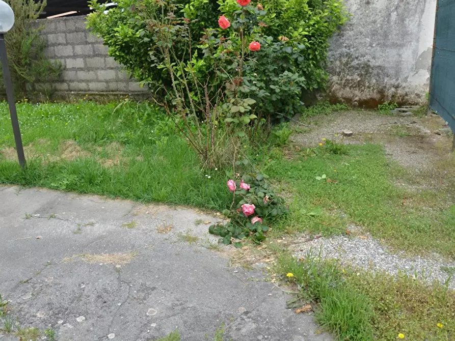 Immagine 6 di Casa bifamiliare in vendita  a Vecchiano