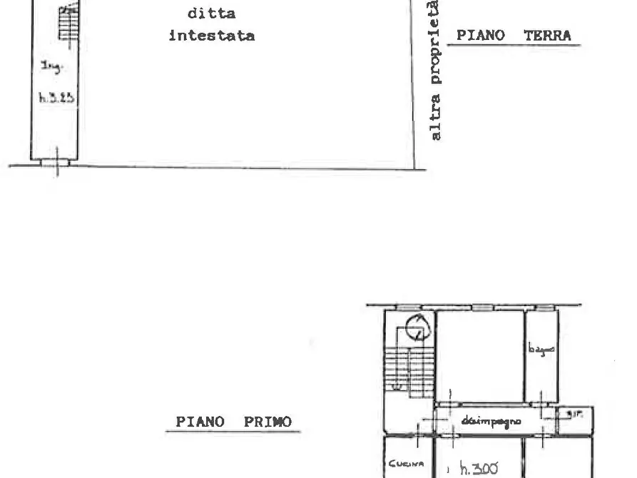 Immagine 3 di Terratetto in vendita  a Terricciola