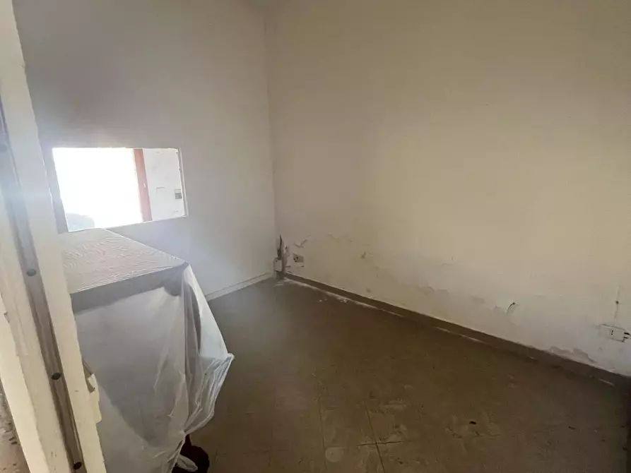 Immagine 6 di Terratetto in vendita  a Terricciola