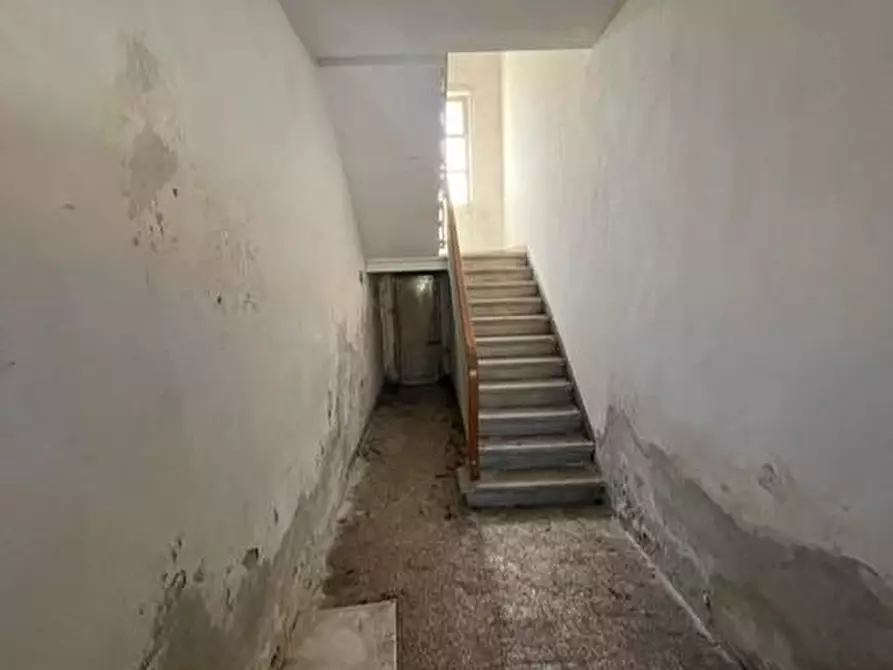 Immagine 9 di Terratetto in vendita  a Terricciola