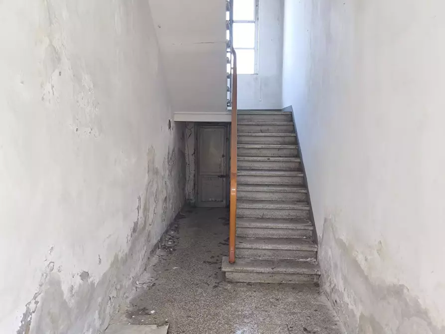 Immagine 11 di Terratetto in vendita  a Terricciola