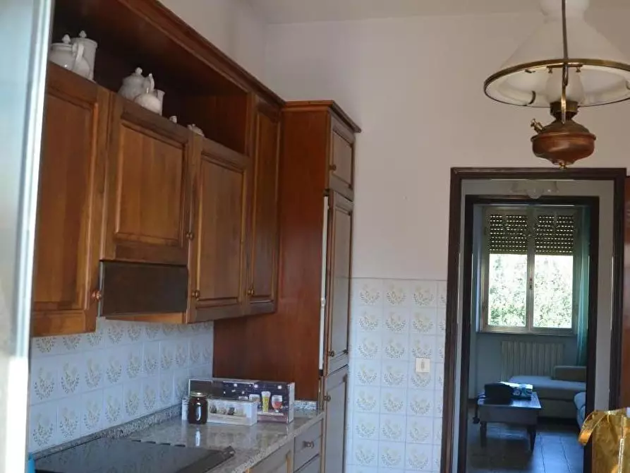 Immagine 3 di Casa bifamiliare in vendita  a Vecchiano