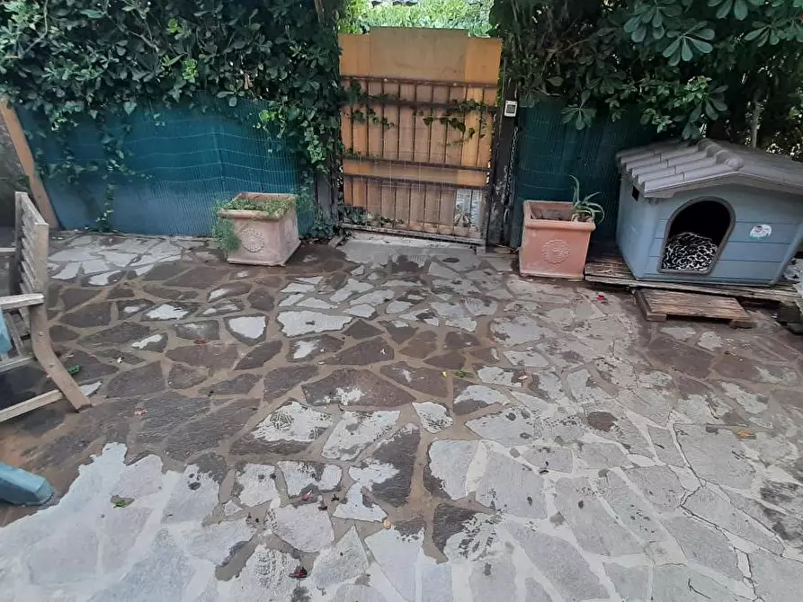 Immagine 46 di Appartamento in vendita  a Rosignano Marittimo