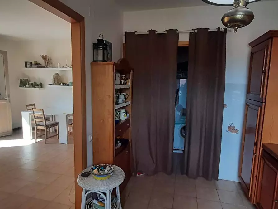 Immagine 22 di Appartamento in vendita  a Rosignano Marittimo