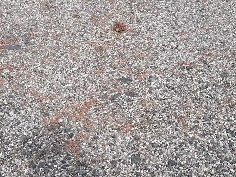 Immagine 51 di Appartamento in vendita  a Rosignano Marittimo