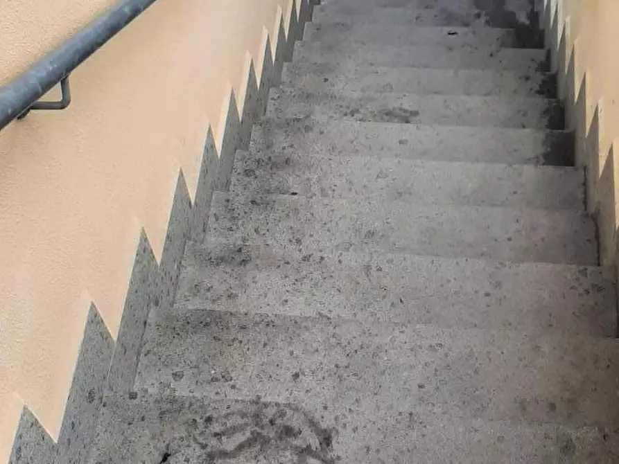Immagine 44 di Appartamento in vendita  a Rosignano Marittimo