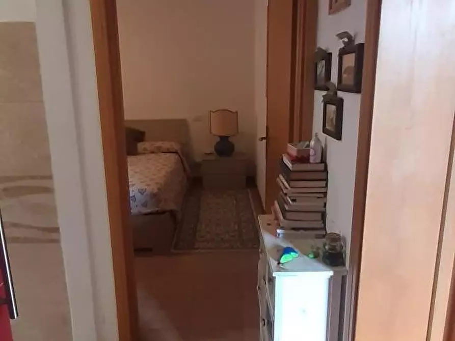 Immagine 33 di Appartamento in vendita  a Rosignano Marittimo