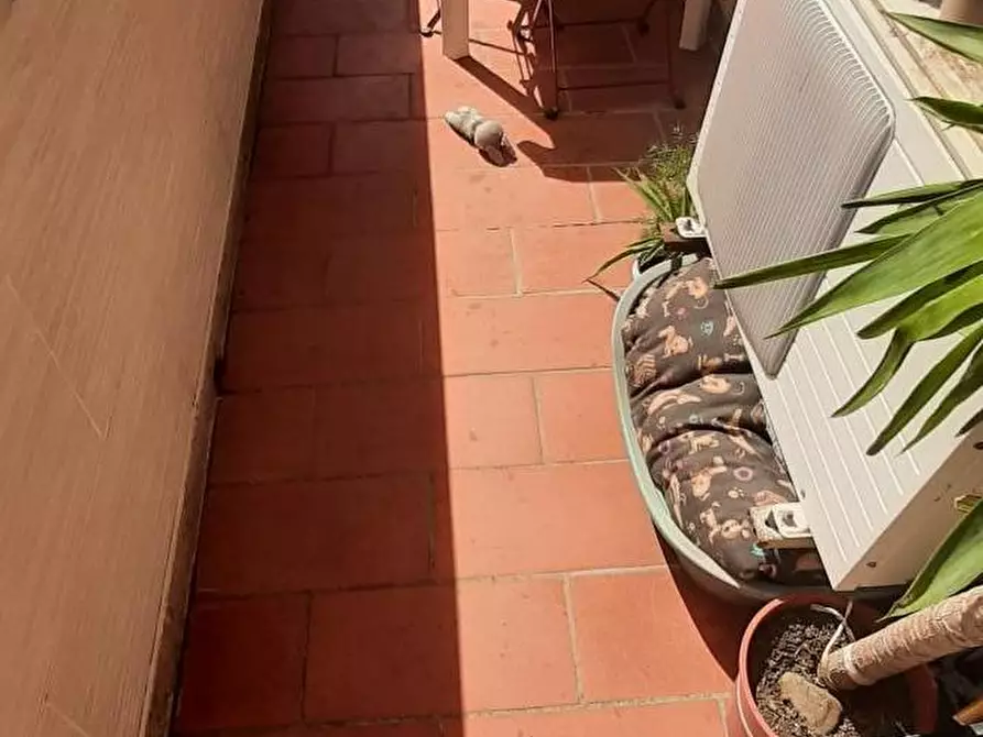Immagine 8 di Appartamento in vendita  a Rosignano Marittimo