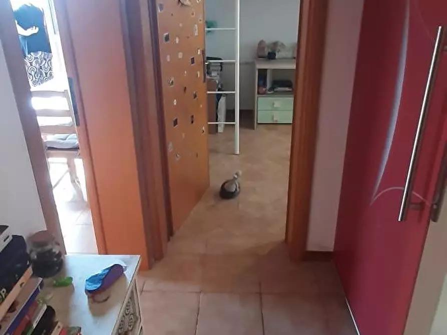 Immagine 26 di Appartamento in vendita  a Rosignano Marittimo