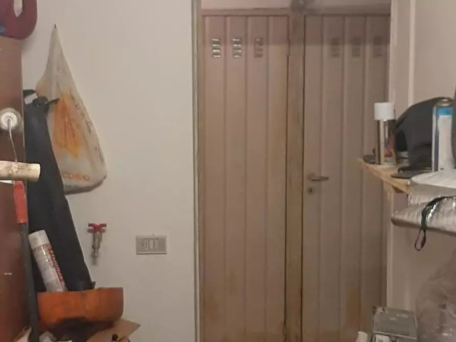 Immagine 49 di Appartamento in vendita  a Rosignano Marittimo