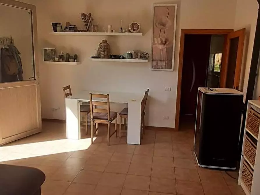 Immagine 14 di Appartamento in vendita  a Rosignano Marittimo