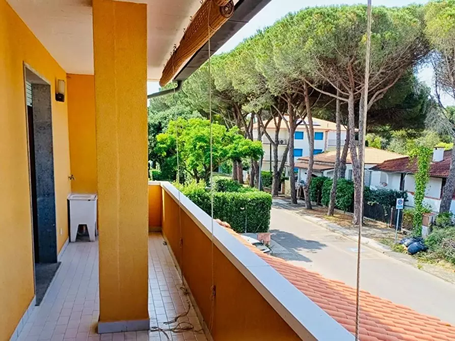 Immagine 1 di Casa quadrifamiliare in vendita  a Cecina