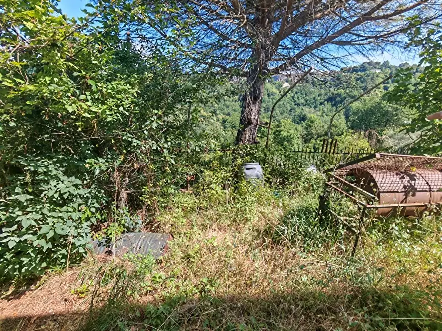 Immagine 20 di Casa indipendente in vendita  a Fosdinovo