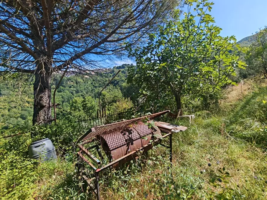 Immagine 18 di Casa indipendente in vendita  a Fosdinovo