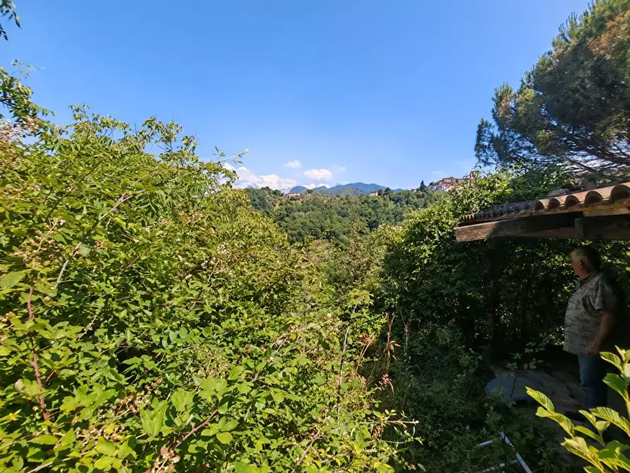 Immagine 17 di Casa indipendente in vendita  a Fosdinovo