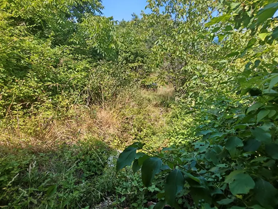 Immagine 15 di Casa indipendente in vendita  a Fosdinovo