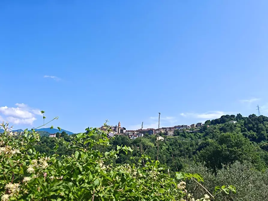 Immagine 19 di Casa indipendente in vendita  a Fosdinovo