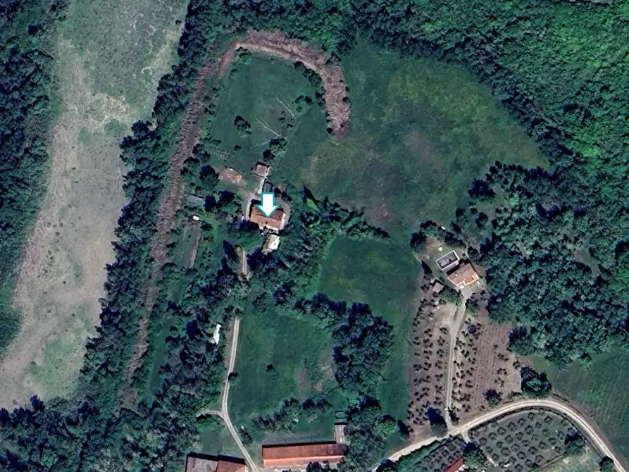 Immagine 1 di Appartamento in vendita  a Peccioli