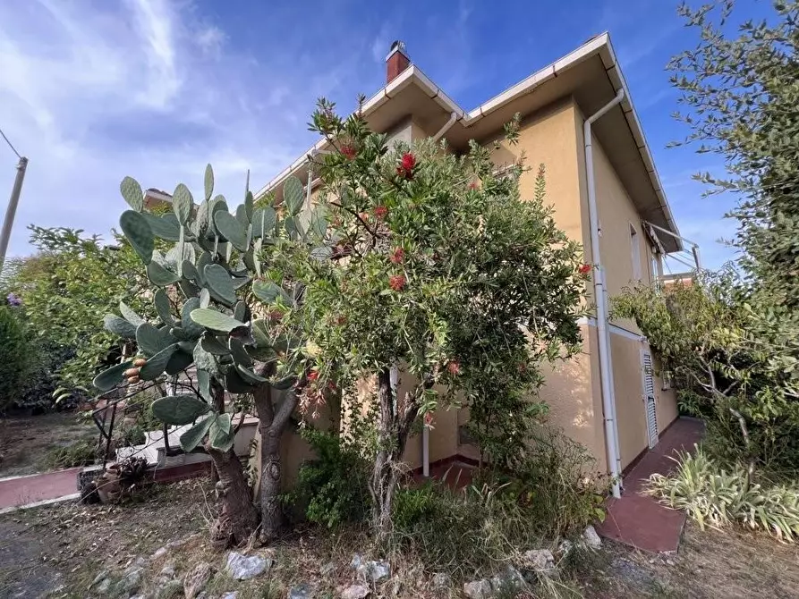 Immagine 3 di Villa in vendita  a Cecina