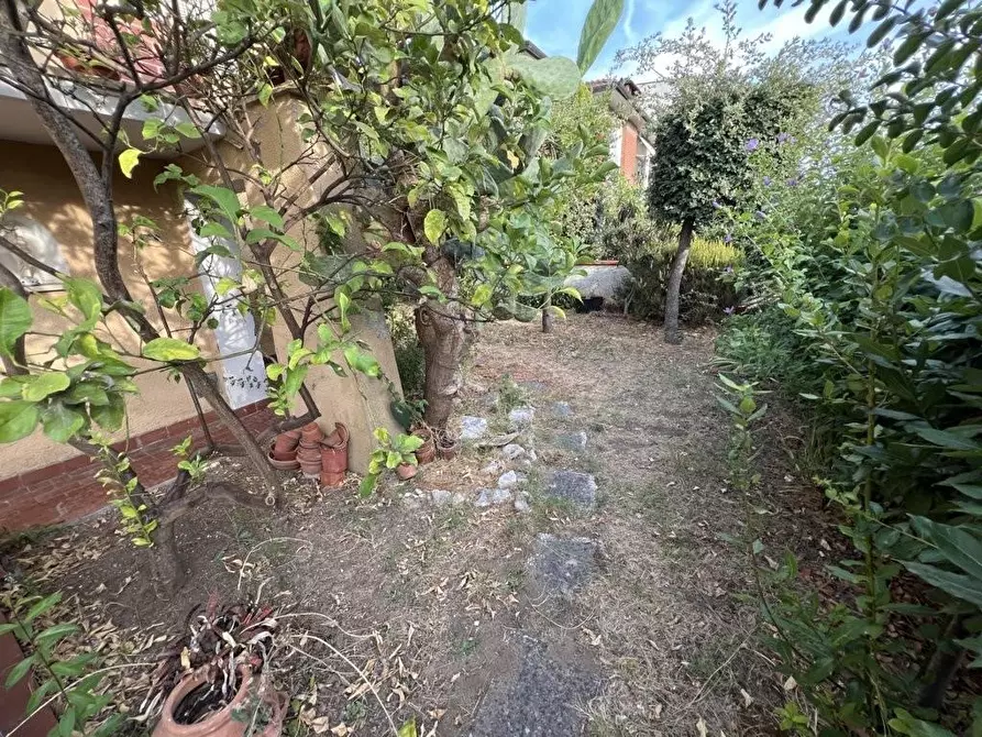 Immagine 7 di Villa in vendita  a Cecina