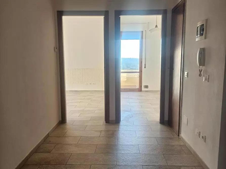 Immagine 13 di Appartamento in vendita  a Collesalvetti