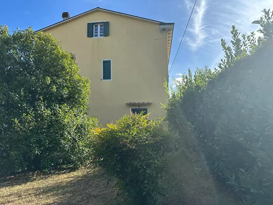 Immagine 3 di Villa in vendita  a Lucca