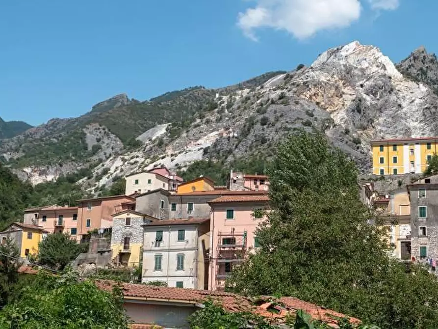 Immagine 33 di Appartamento in vendita  a Carrara