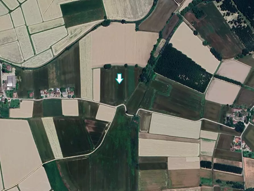 Immagine 1 di Terreno agricolo in vendita  a Cava Manara
