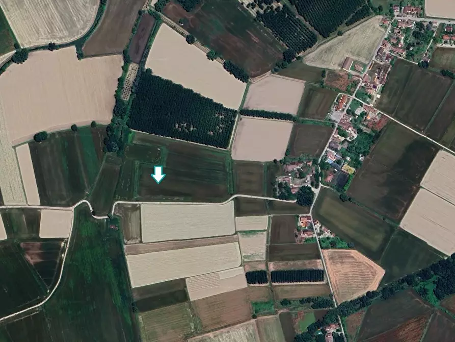 Immagine 1 di Terreno agricolo in vendita  a Cava Manara
