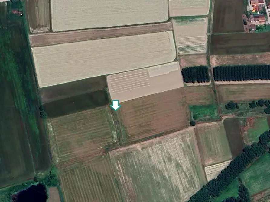 Immagine 1 di Terreno agricolo in vendita  a Cava Manara