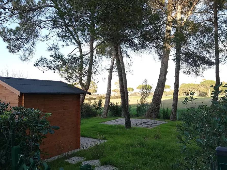 Immagine 17 di Appartamento in vendita  a Bibbona