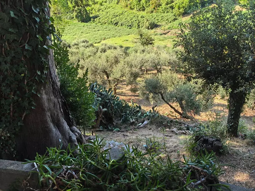 Immagine 14 di Villa in vendita  a Casciana Terme Lari