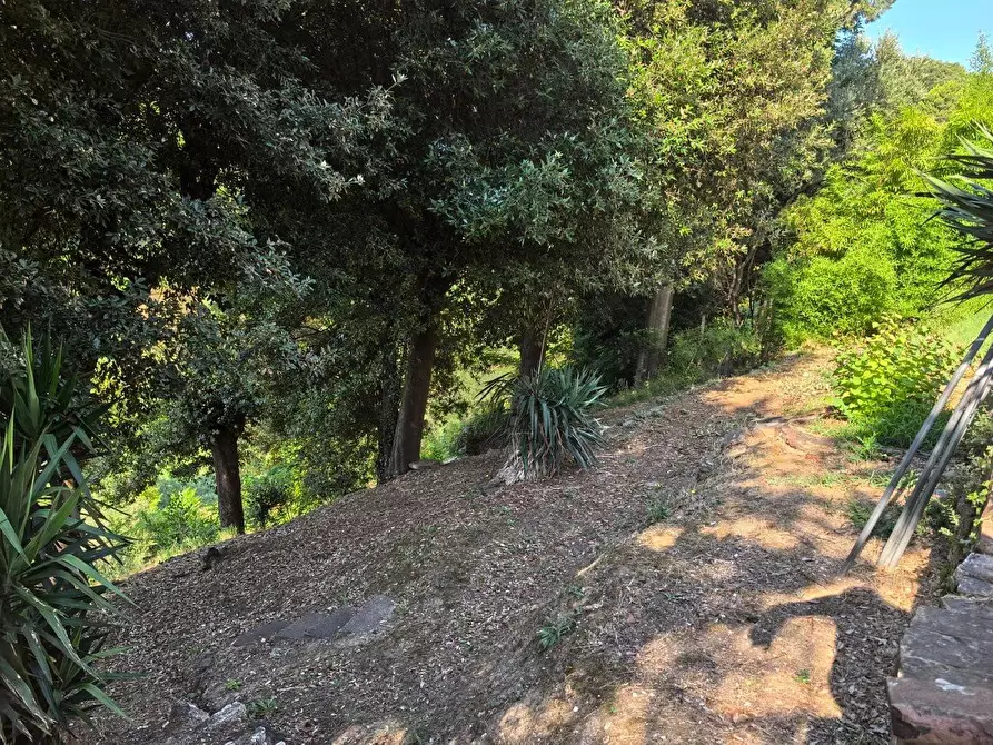 Immagine 24 di Villa in vendita  a Casciana Terme Lari