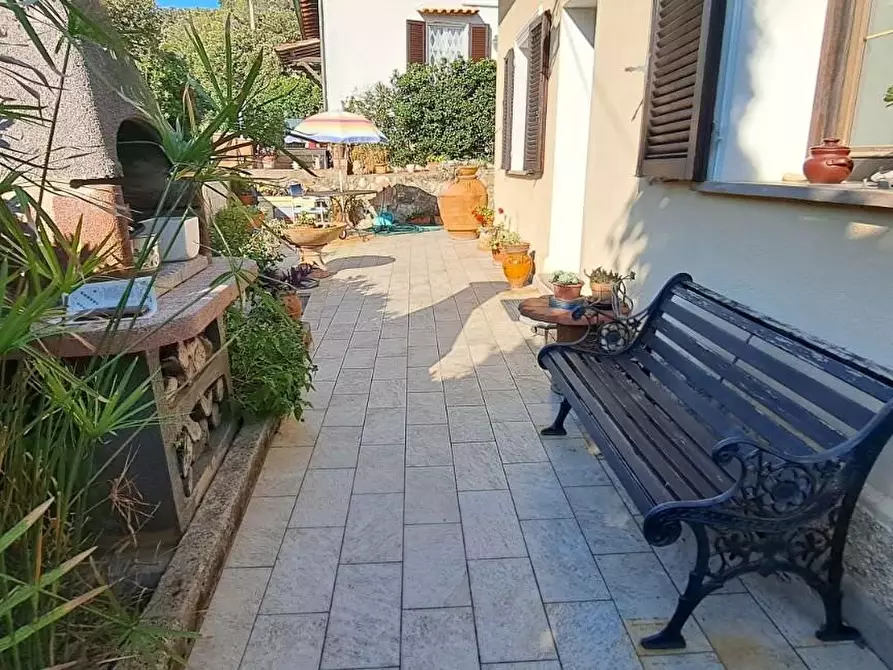 Immagine 8 di Villa in vendita  a Rosignano Marittimo