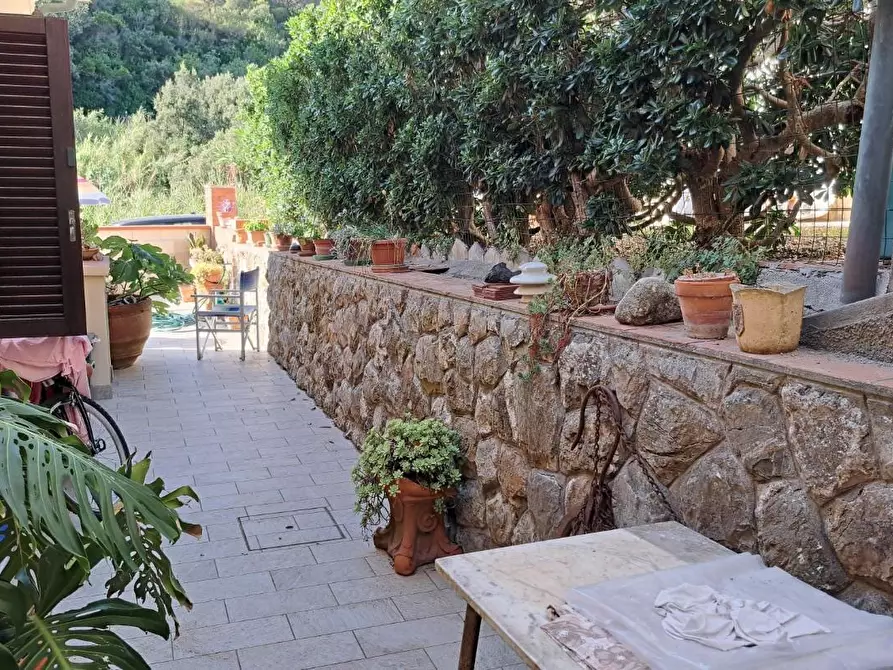 Immagine 30 di Villa in vendita  a Rosignano Marittimo