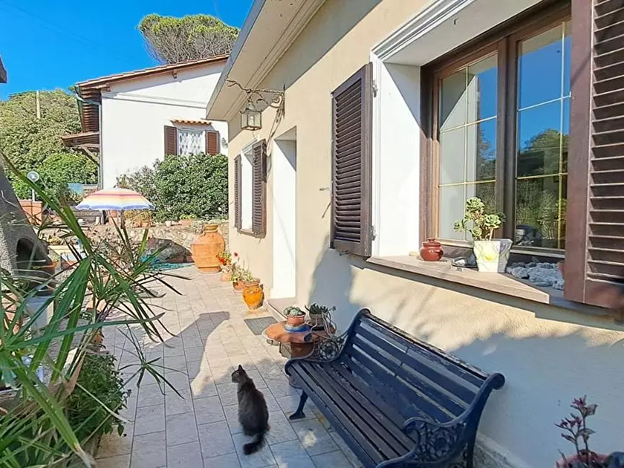 Immagine 6 di Villa in vendita  a Rosignano Marittimo