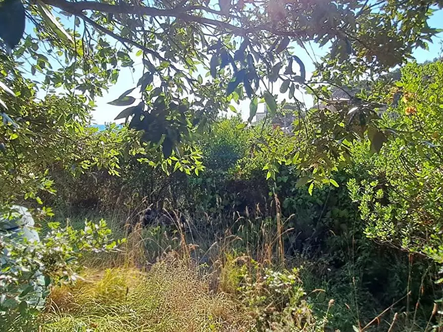 Immagine 32 di Villa in vendita  a Rosignano Marittimo