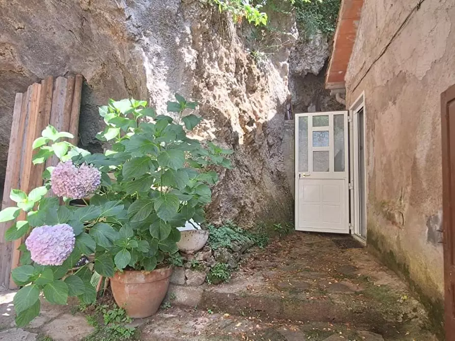 Immagine 18 di Terratetto in vendita  a Bagni Di Lucca