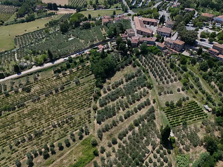 Immagine 56 di Villa in vendita  a San Gimignano