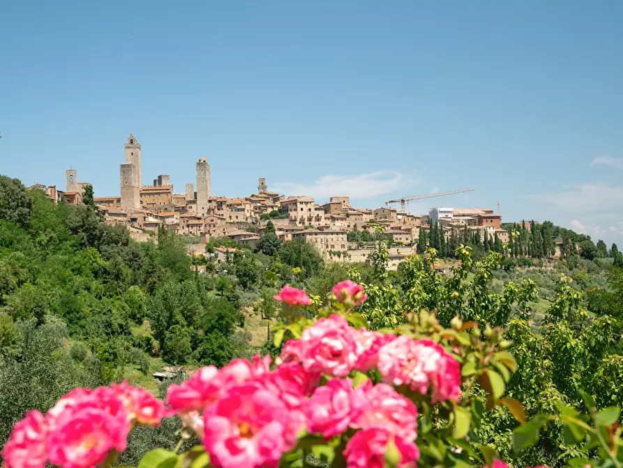 Immagine 52 di Villa in vendita  a San Gimignano