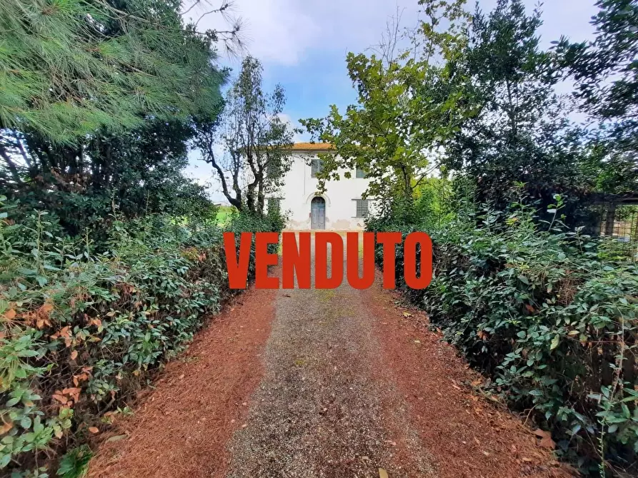Immagine 1 di Casa indipendente in vendita  a Terricciola