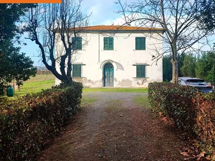Immagine 15 di Casa indipendente in vendita  a Terricciola