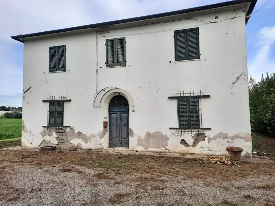 Immagine 16 di Casa indipendente in vendita  a Terricciola