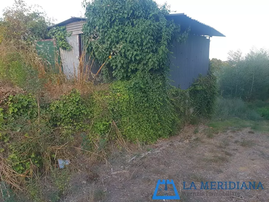 Immagine 36 di Terratetto in vendita  a Lamporecchio