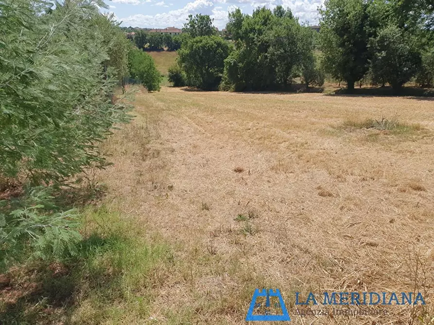 Immagine 26 di Terratetto in vendita  a Lamporecchio