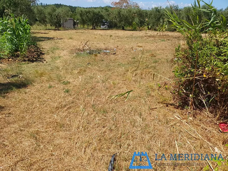 Immagine 28 di Terratetto in vendita  a Lamporecchio