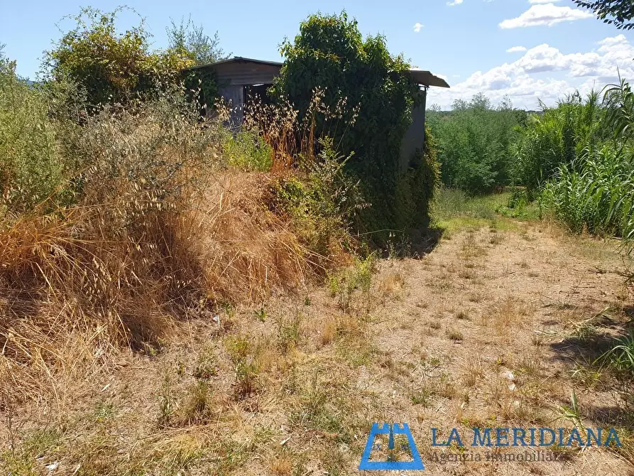 Immagine 32 di Terratetto in vendita  a Lamporecchio